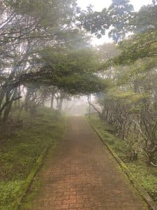 2日目鶴見岳山頂5