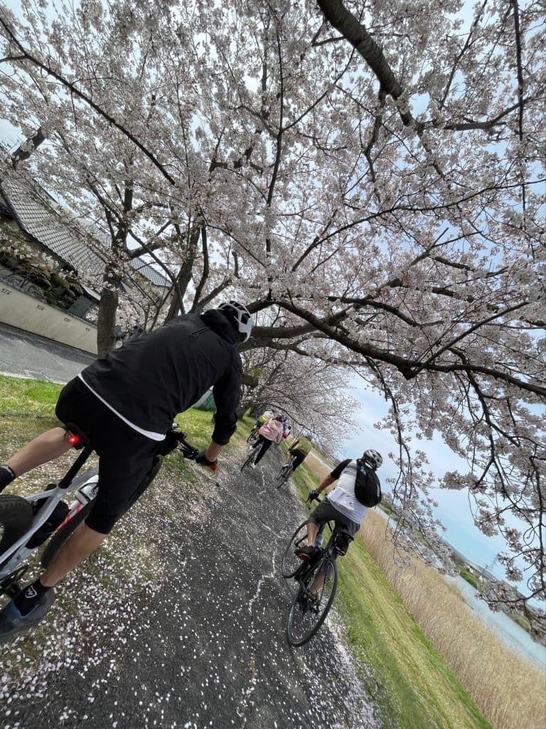 笹ヶ瀬川
