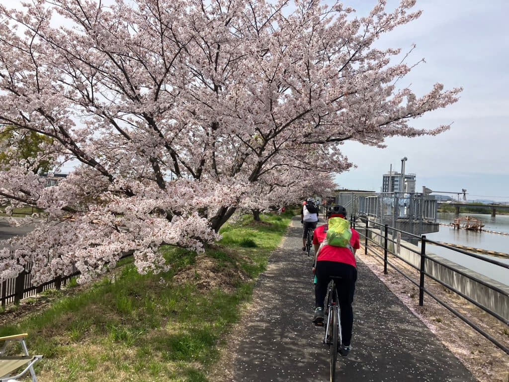 笹ヶ瀬川2